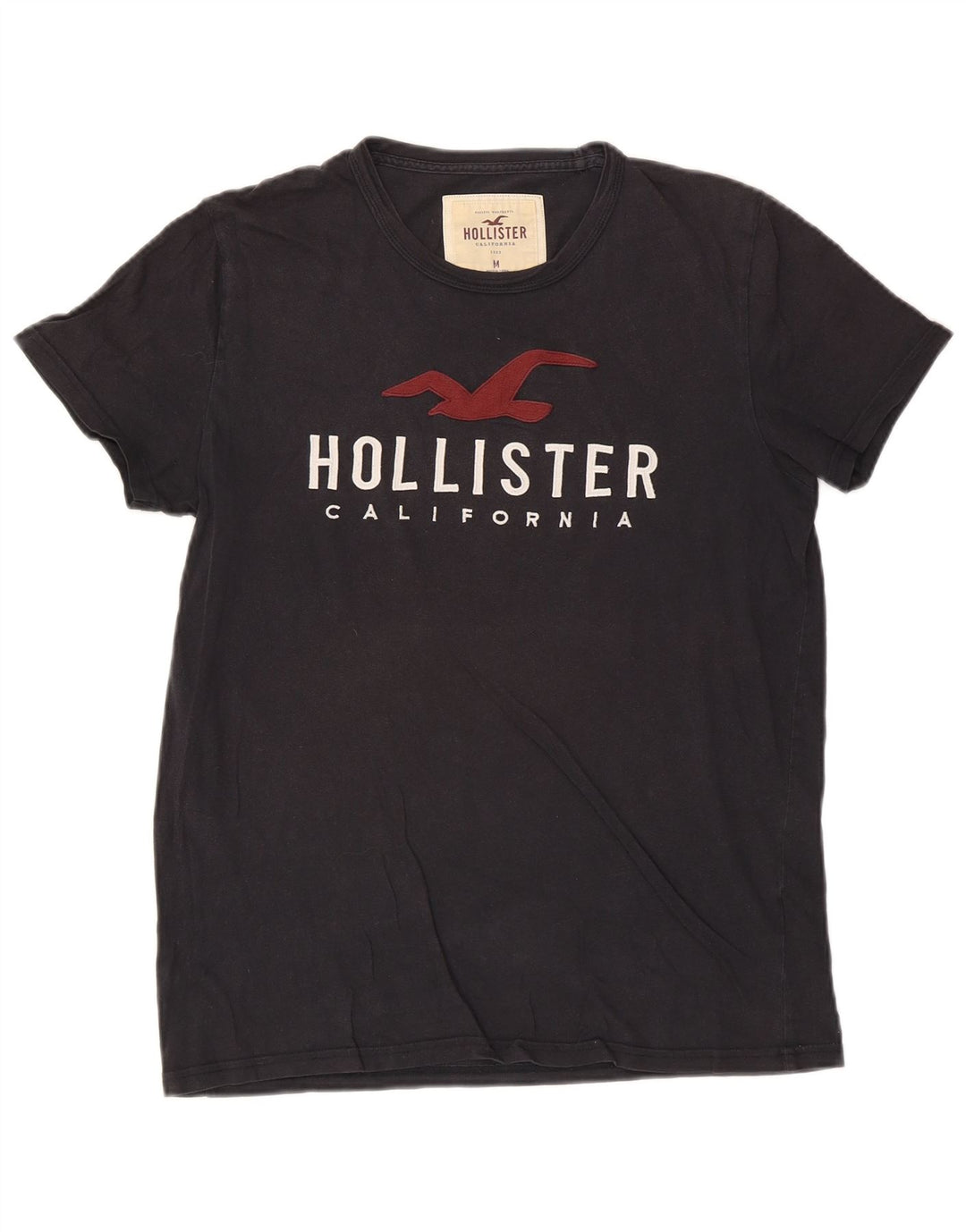 Ανδρικό γραφικό μπλουζάκι Hollister Top από μεσαίο ναυτικό μπλε βαμβακερό