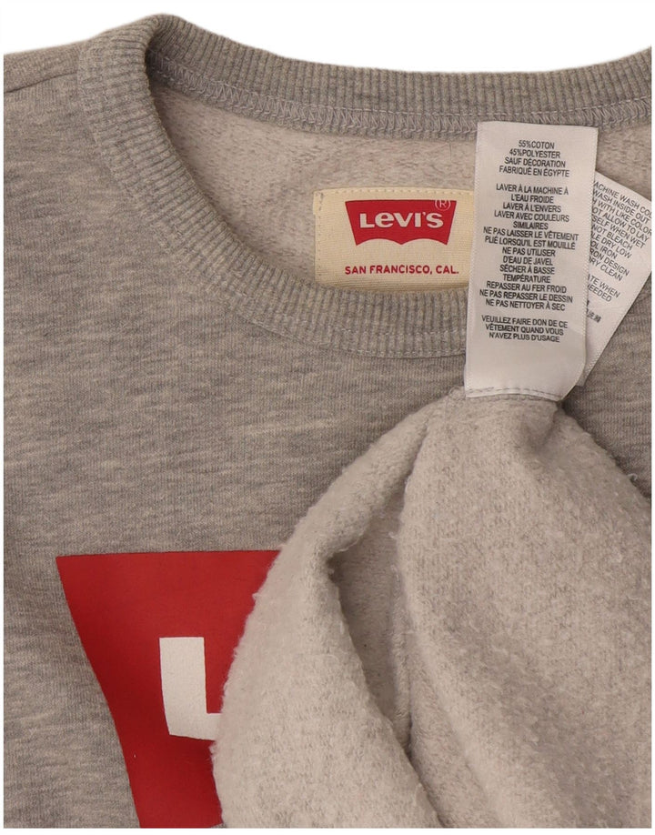 Γραφικό φούτερ LEVI'S Boys Jumper 12-13 ετών Γκρι βαμβακερό