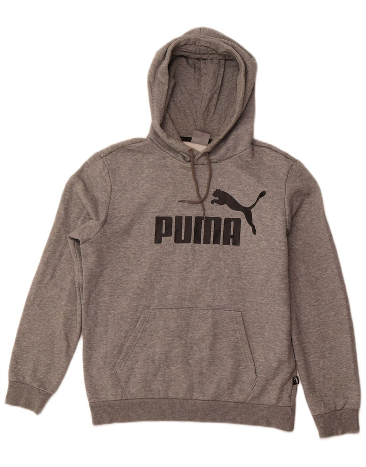 Ανδρικά γραφικά κουκούλα Puma Μικρό Γκρι