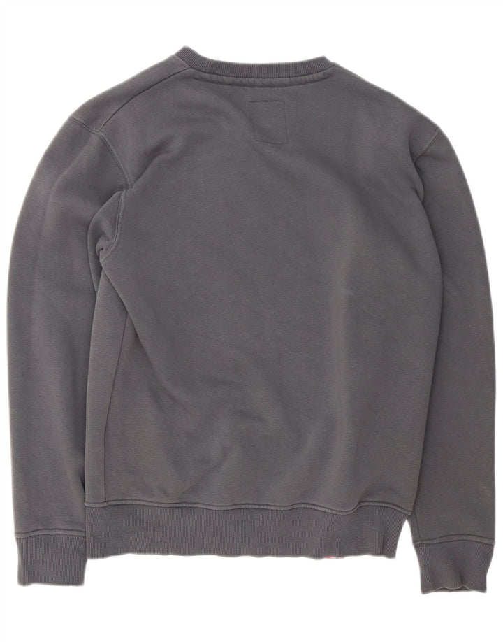 Ανδρικό γραφικό φούτερ Alpha Industries Jumper Μικρό γκρι βαμβακερό