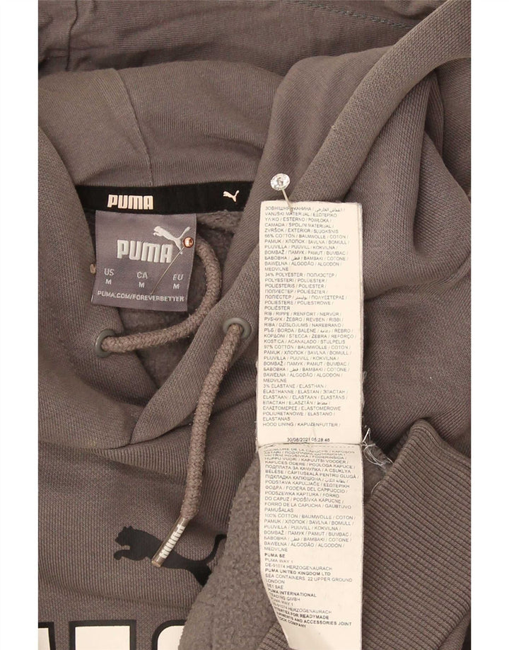 Ανδρικό γραφικό κουκούλα Puma, μεσαίο γκρι βαμβακερό