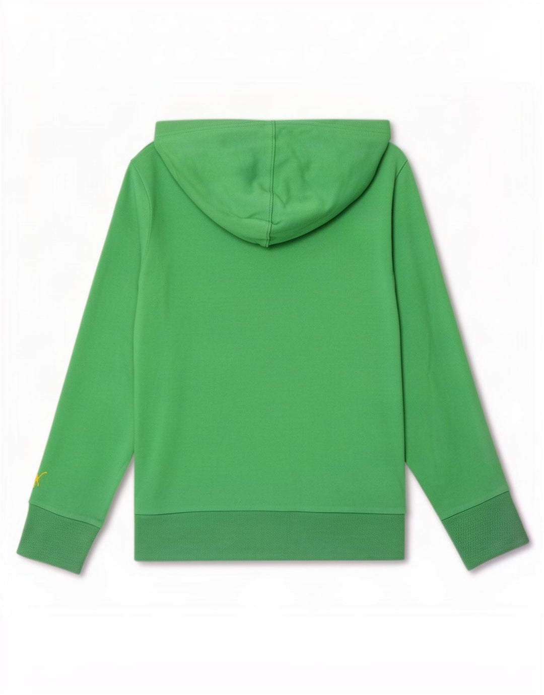 Puma Γυναικείο Γραφικό Hoodie Jumper UK 12 Medium Green