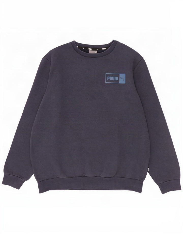 Ανδρικό φούτερ Puma Jumper Μεσαίο μπλε βαμβακερό