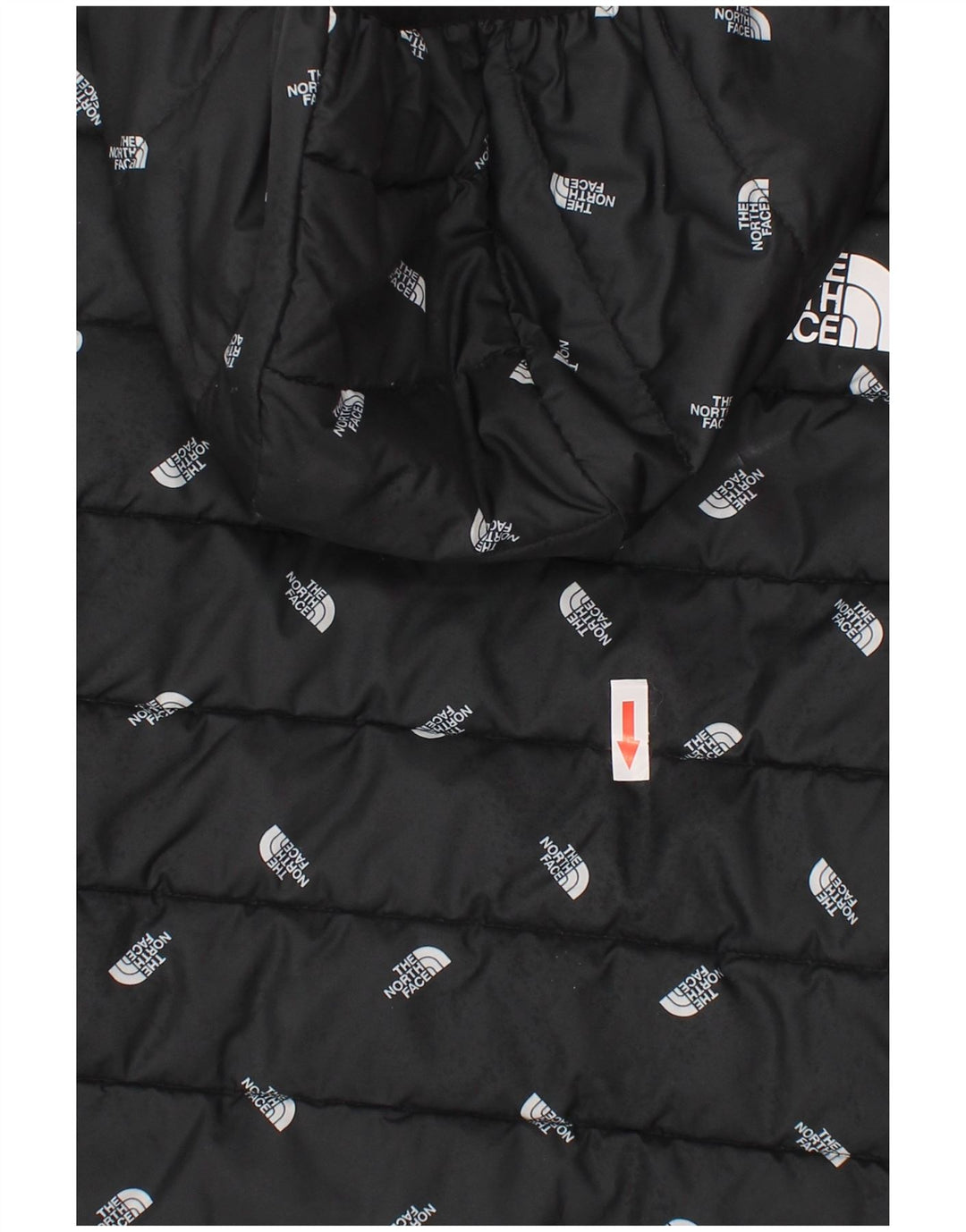 The North Face Boys Graphic Hooded Jacket padded 9-10 Years Medium Black