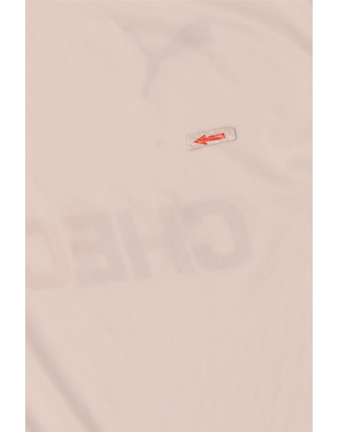 Ανδρικό γραφικό μπλουζάκι Puma Deutshland Top Small White Colorblock Πολυεστέρας