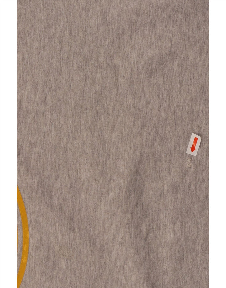 Ανδρικό γραφικό φούτερ ADIDAS Jumper Μεσαίο γκρι βαμβακερό