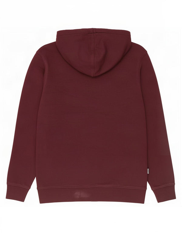 Ανδρικό Vans Graphic Hoodie Jumper Medium Burgundy Floral Βαμβάκι