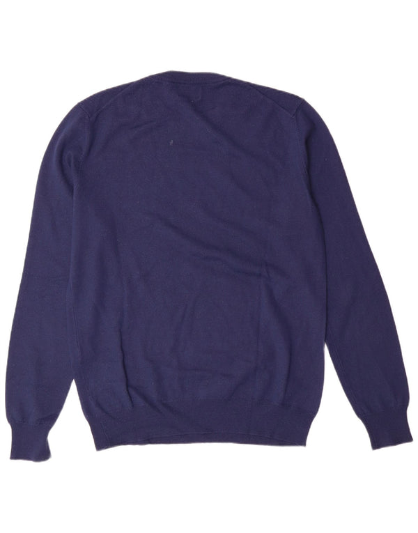 Πουλόβερ REFRIGIWEAR Boys Crew Neck Jumper 15-16 Years XL Navy Blue Wool