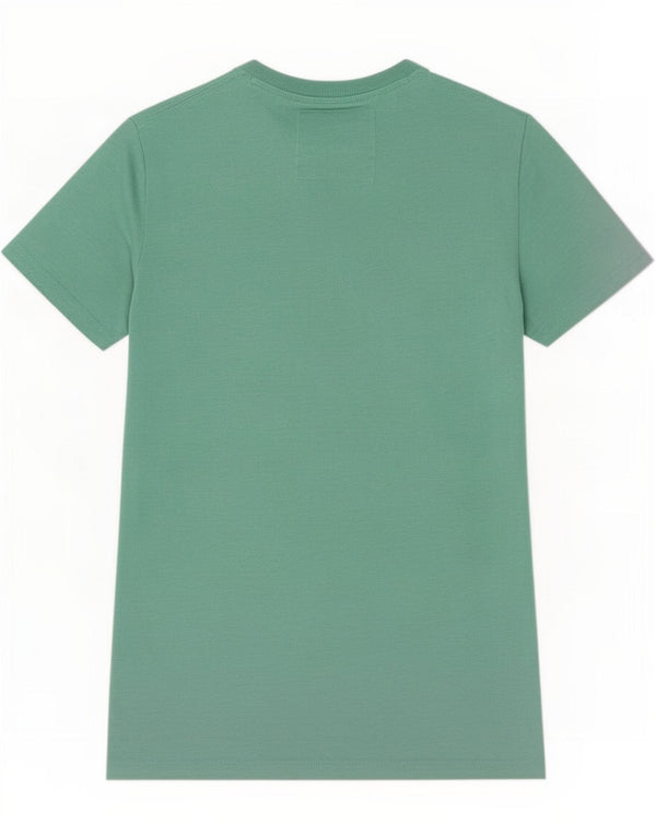 Superdry Mens Graphic T-Shirt Top Small Green Cotton