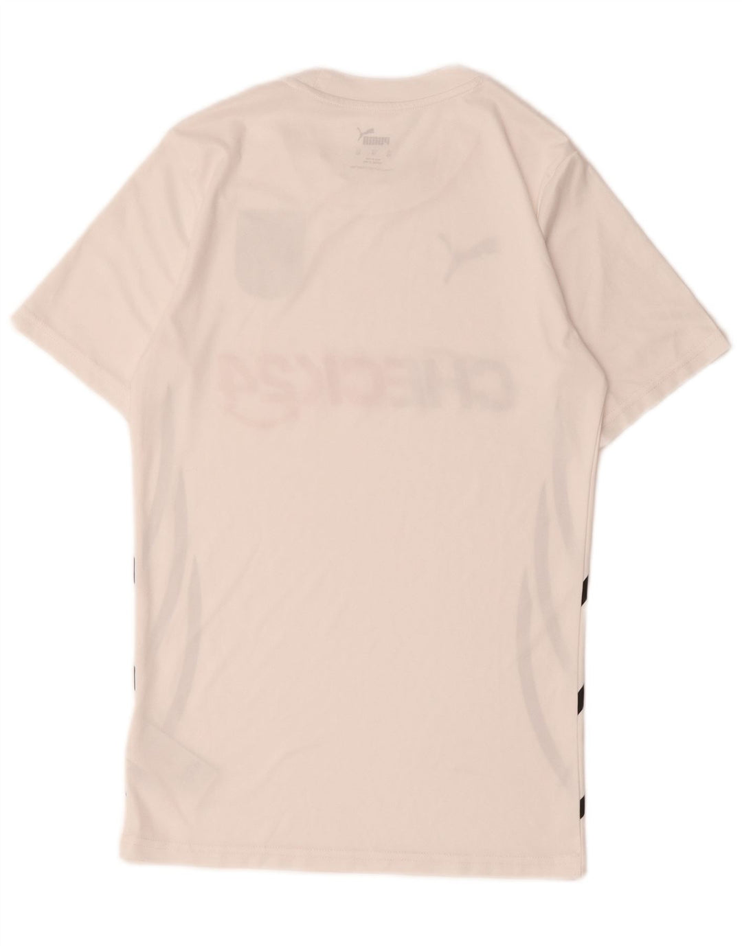Ανδρικό γραφικό T-Shirt Puma Top XS Λευκό Πολυεστέρας
