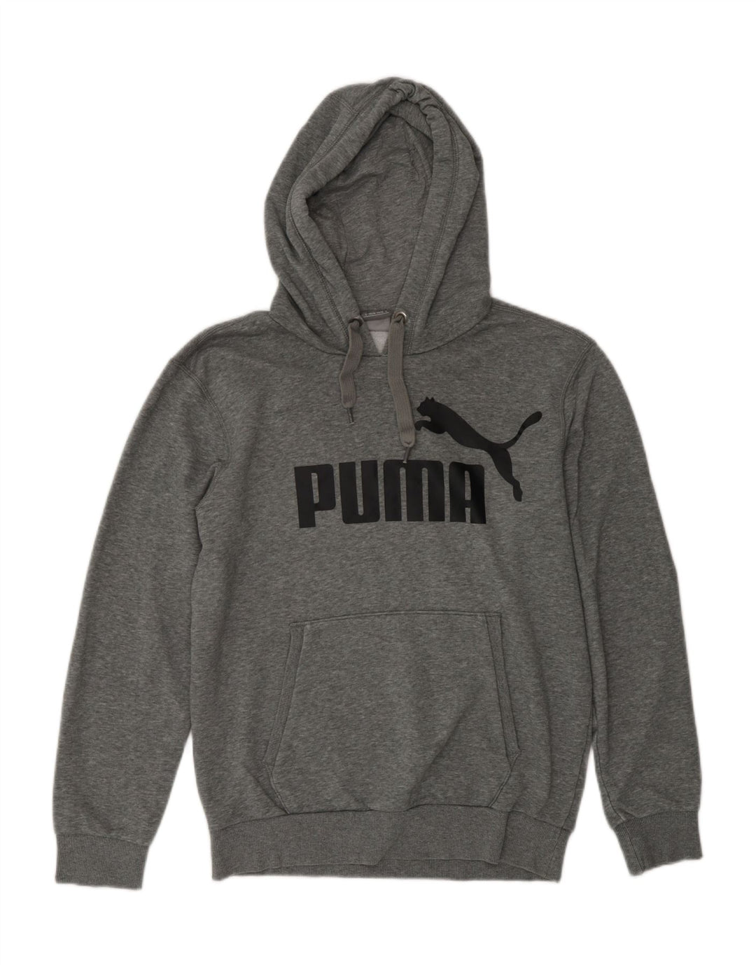 Ανδρικά γραφικά κουκούλα PUMA Μικρό γκρι πολυεστέρας