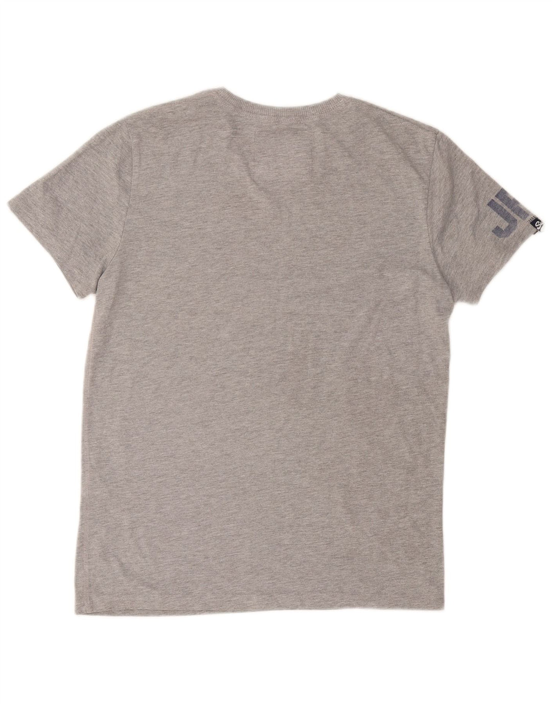 Ανδρικό γραφικό μπλουζάκι SUPERDRY Top Medium Grey Polyester