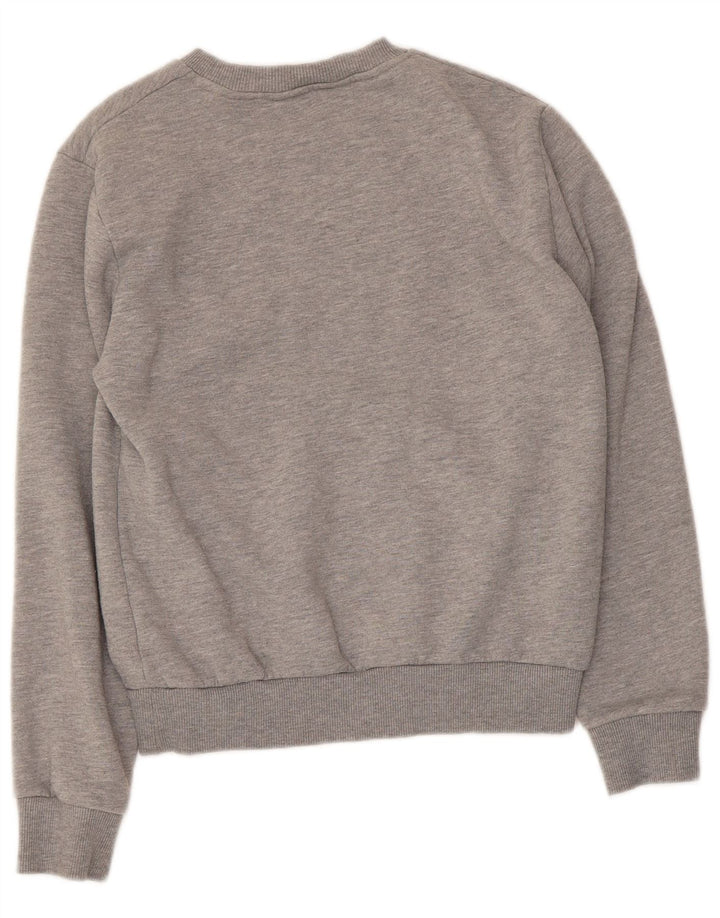 Ανδρικό γραφικό φούτερ Penguin Jumper Μικρό Γκρι βαμβακερό