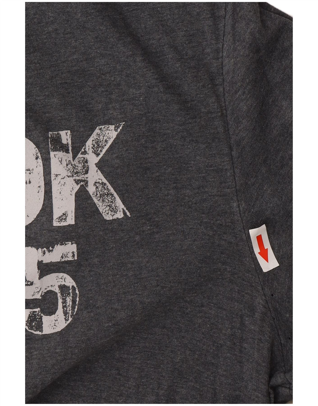 Ανδρικό γραφικό T-Shirt Reebok Top Large Grey