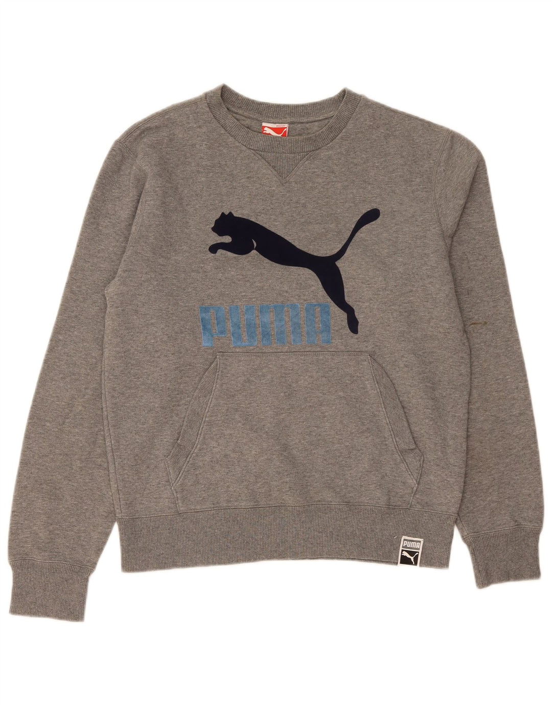 Ανδρικό γραφικό φούτερ Puma Jumper με μεσαίο γκρι χρώμα