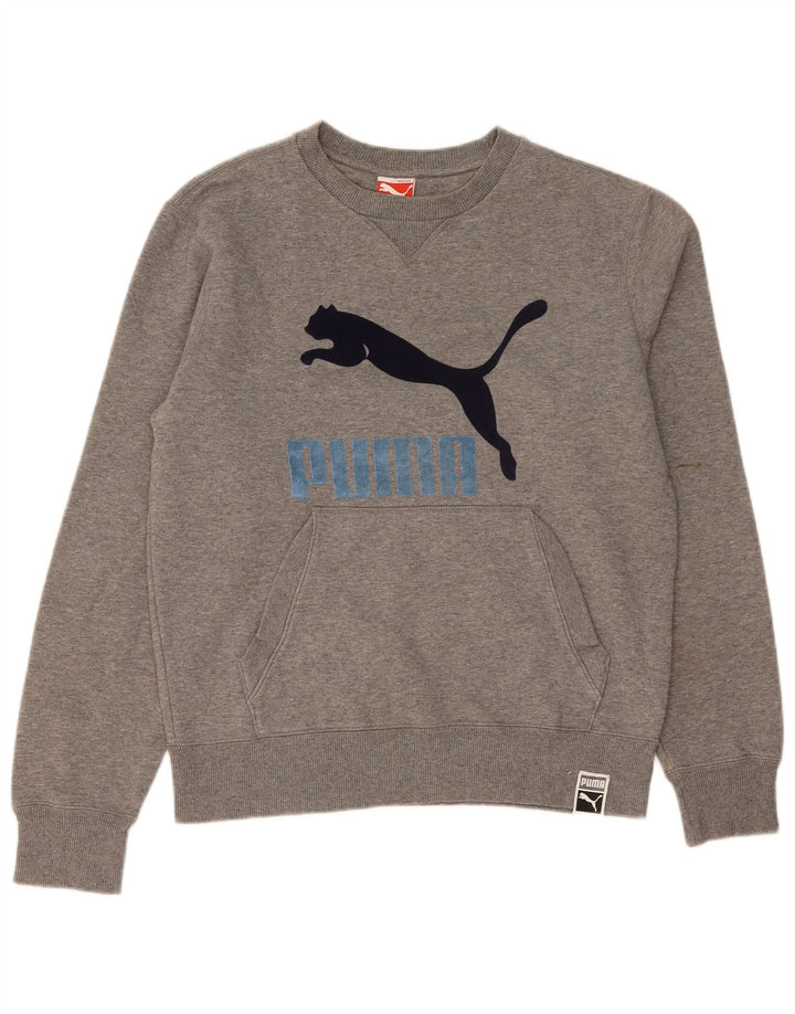 Ανδρικό γραφικό φούτερ Puma Jumper με μεσαίο γκρι χρώμα