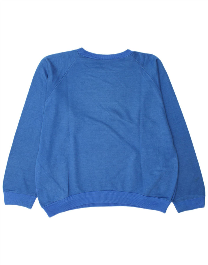 Ανδρικό γραφικό φούτερ Alaska Jumper Large Blue