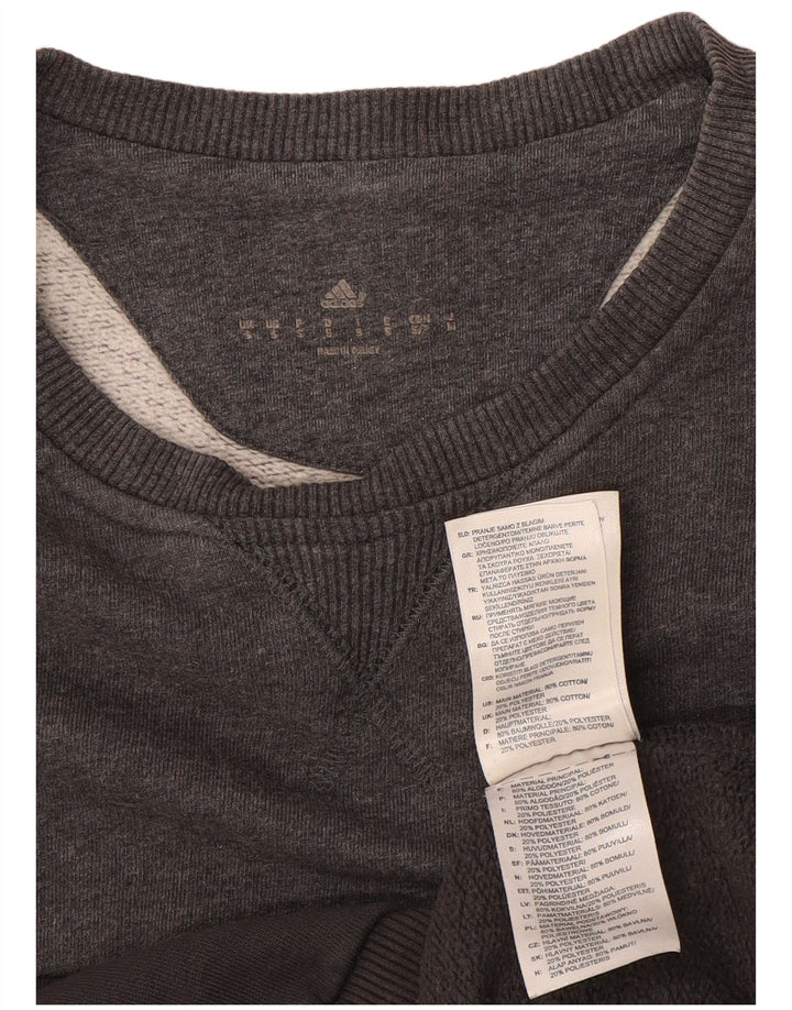 Ανδρικό γραφικό φούτερ Adidas Jumper Μικρό γκρι βαμβακερό