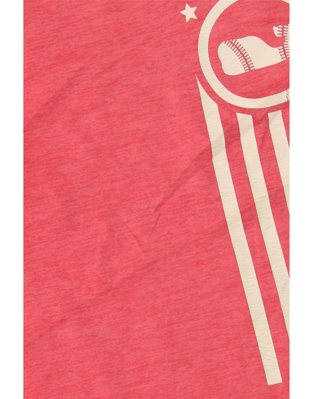 VINEYARD VINES Boys Performance Graphic T-Shirt Top 4-5 Years Pink