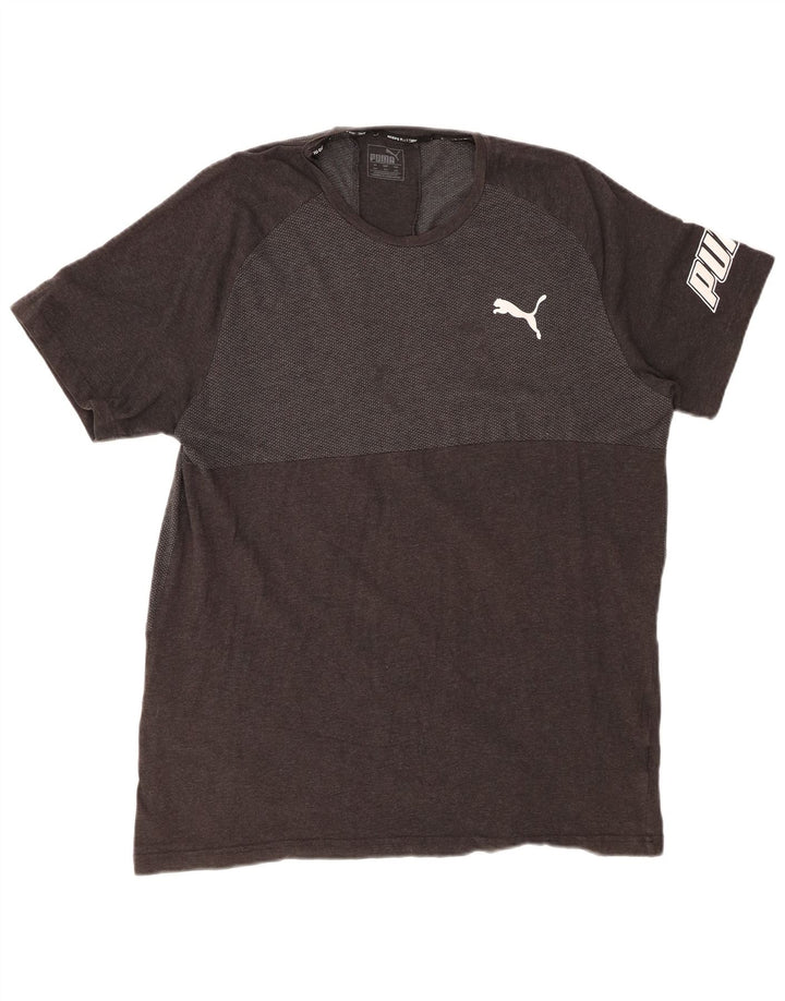 Ανδρικό γραφικό μπλουζάκι PUMA Top 2XL Γκρι Colourblock
