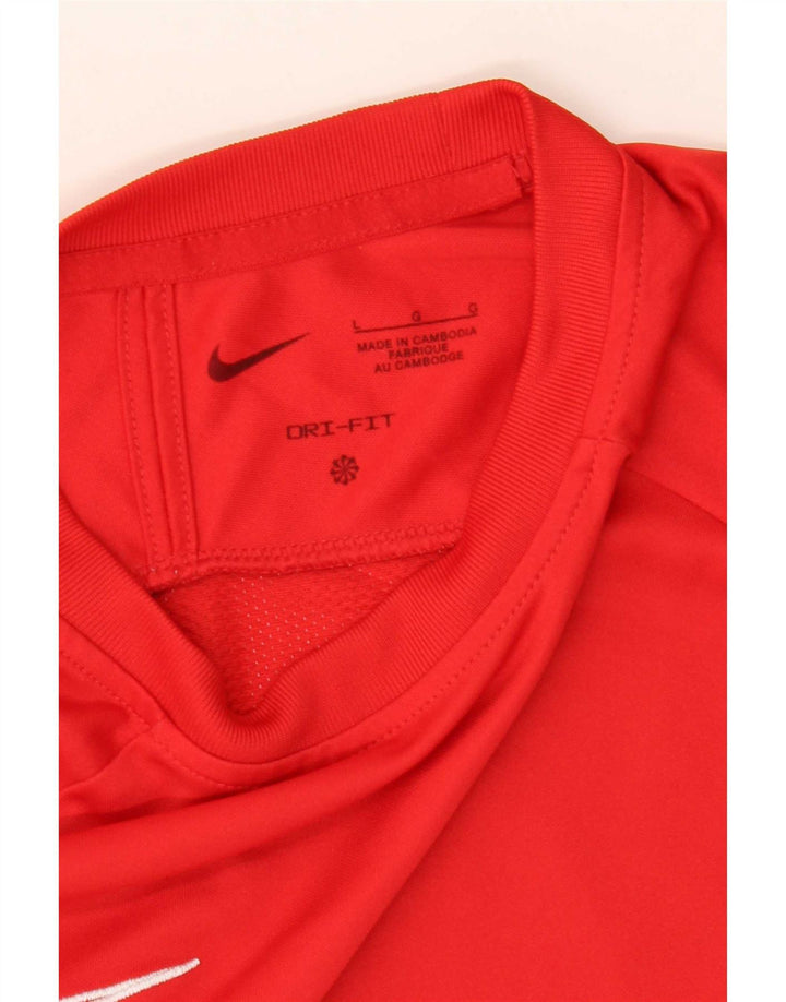 Ανδρικό μπλουζάκι Nike Dri Fit Top Large Red Colourblock