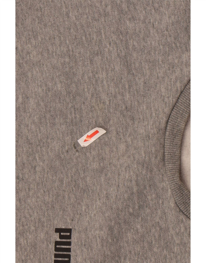 Ανδρική φούτερ Puma Jumper σε γκρι μικρούς μύτες