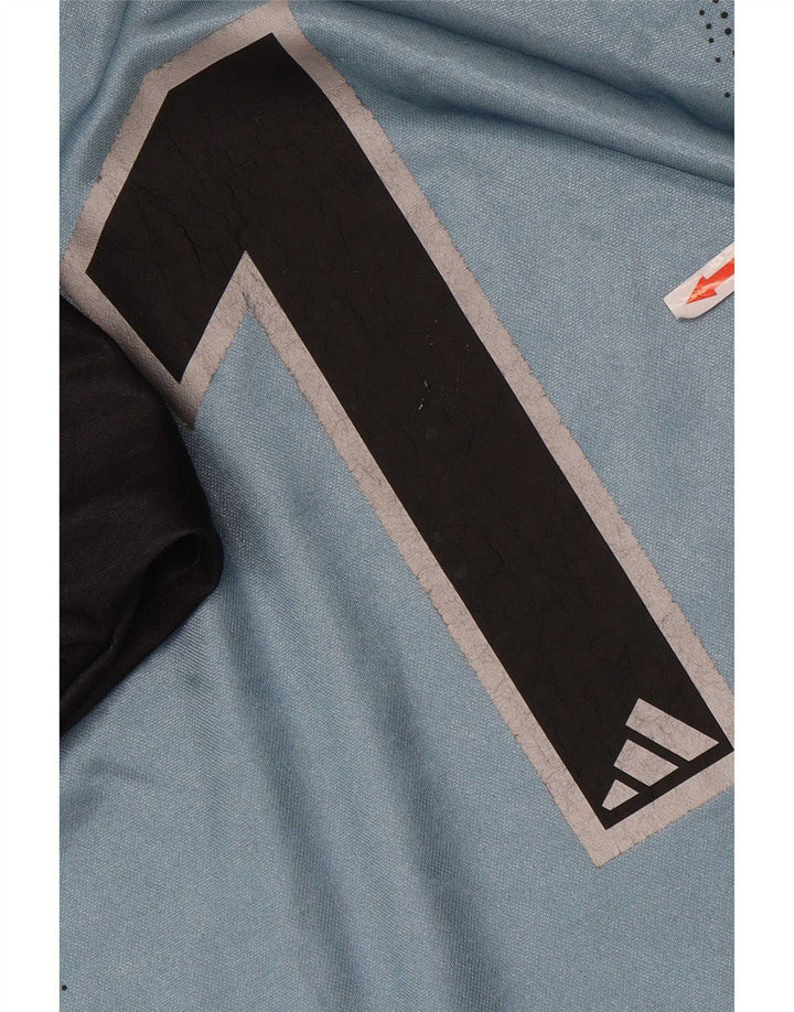 Adidas Ανδρικό γραφικό τοπ μακρυμάνικο μεγάλο μπλε χρώματος πολυεστέρας