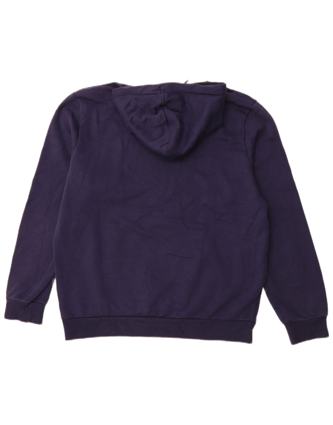 Ανδρικό γραφικό κουκούλα με κουκούλα PUMA Large Navy Blue
