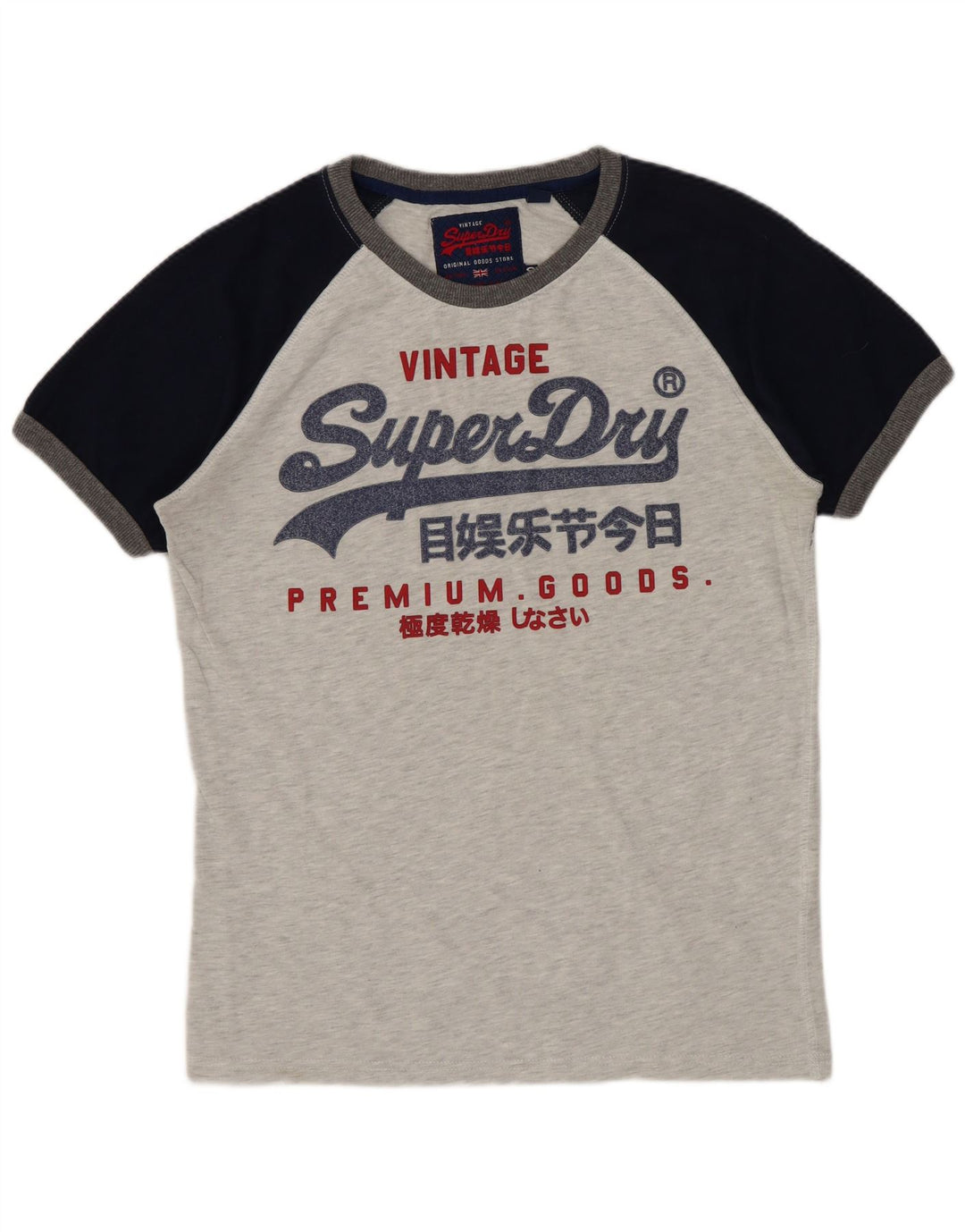 Ανδρικό γραφικό μπλουζάκι Superdry Top Small Grey Colourblock Βαμβακερό
