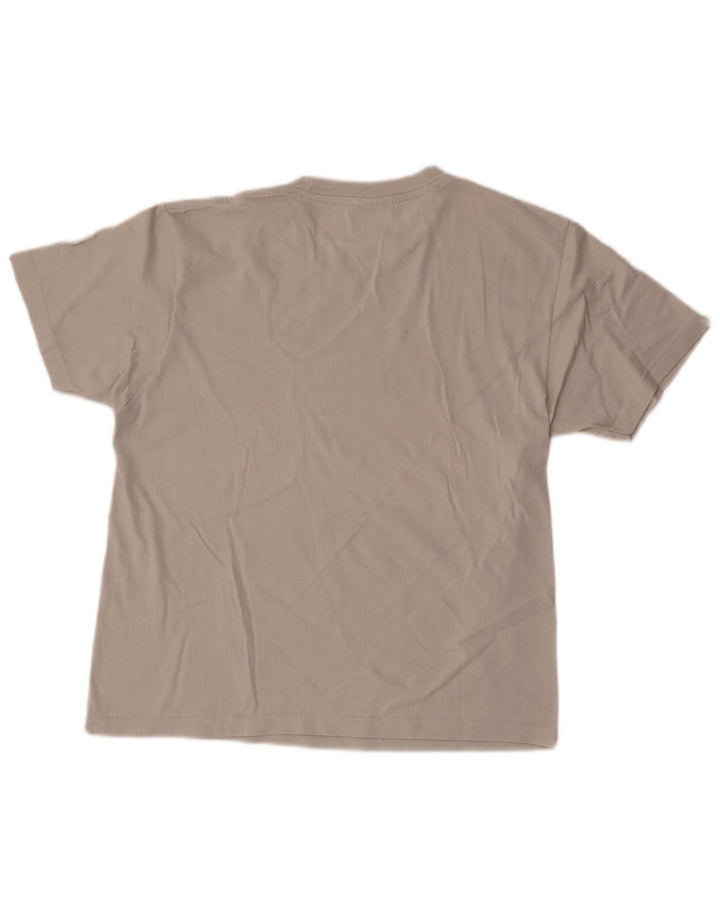 Ανδρικό T-Shirt Champion Graphic Top Small Grey