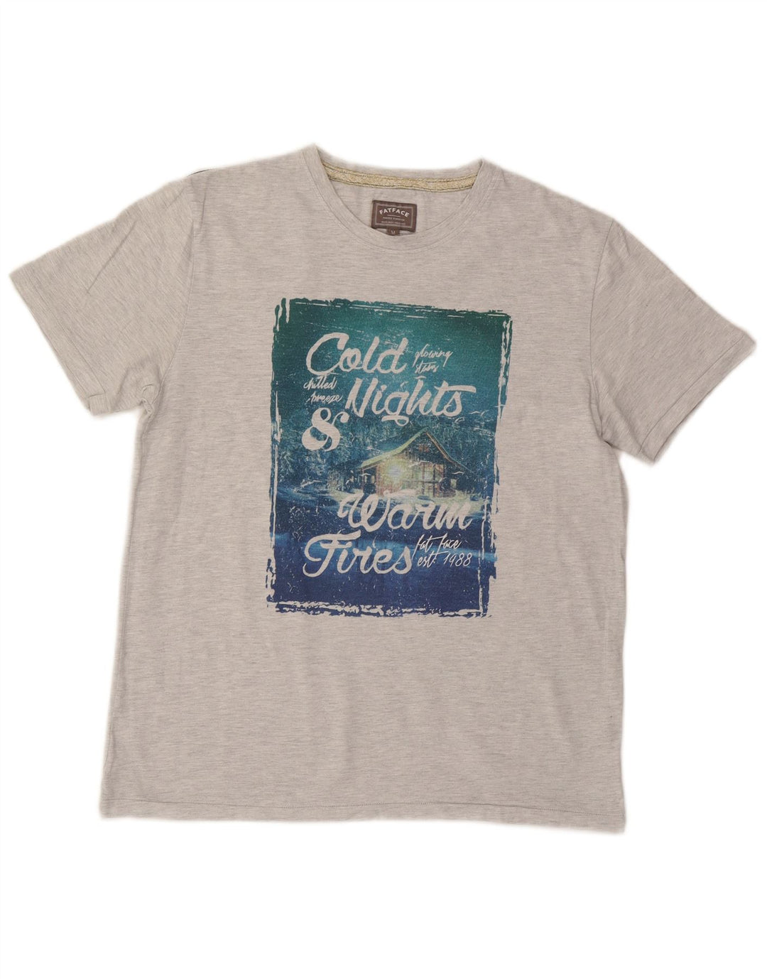 Ανδρικό γραφικό T-Shirt Fat Face Top Μεσαίο γκρι βαμβακερό
