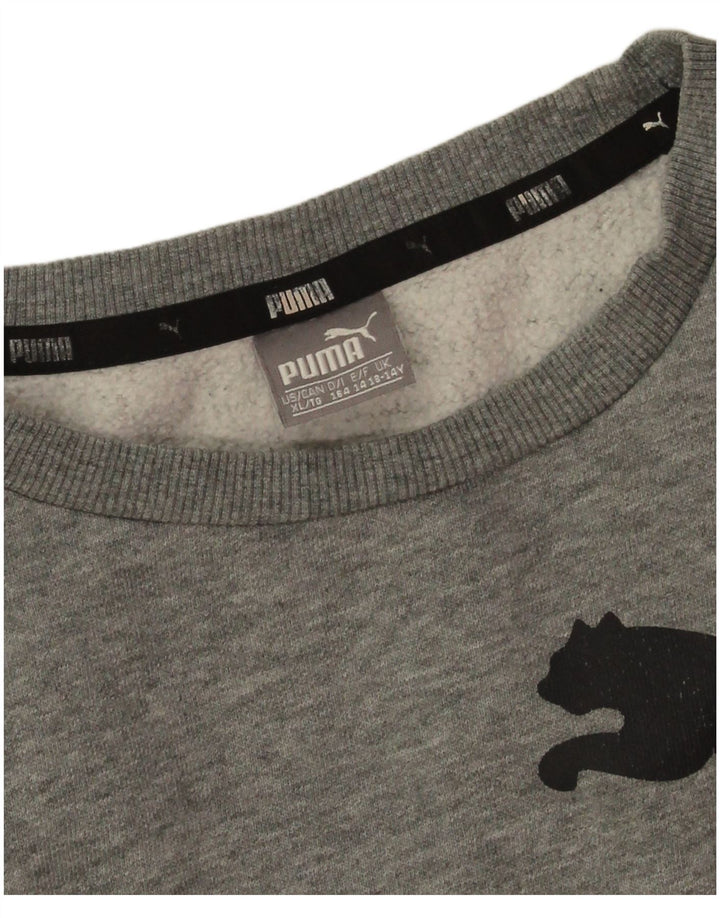 Puma Boys Graphic Φούτερ Jumper 13-14 ετών Γκρι Βαμβακερό
