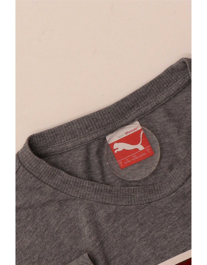 Ανδρικό γραφικό T-Shirt Puma Top Large Grey