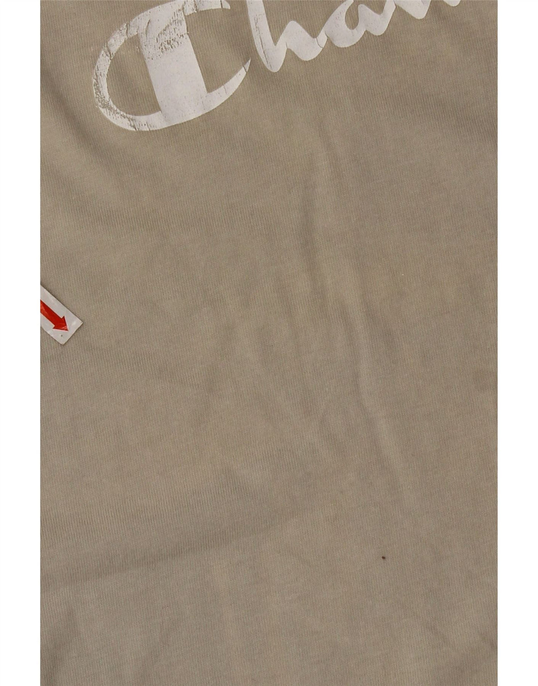 Champion Ανδρικό γραφικό T-Shirt Top 2XL Γκρι βαμβακερό