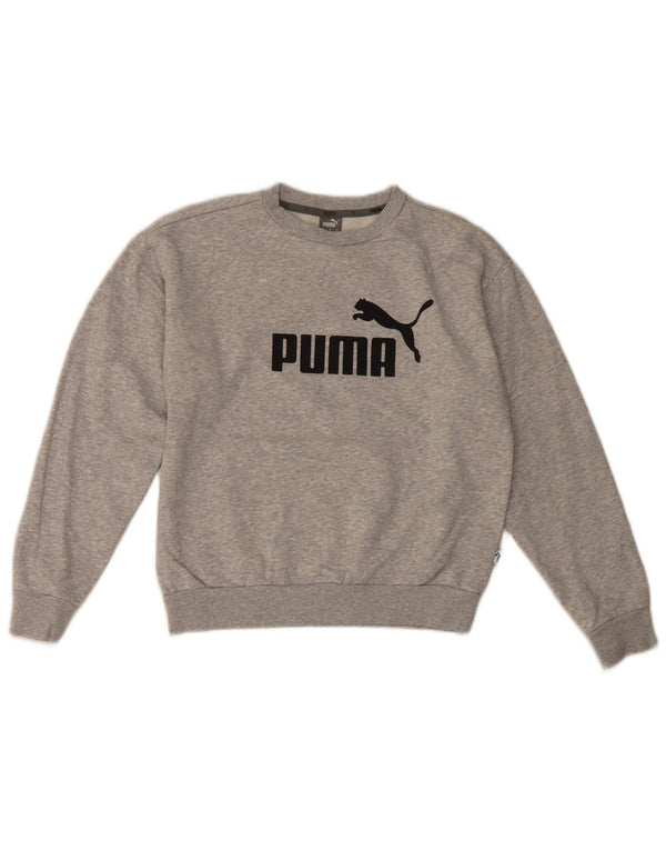 Ανδρικό γραφικό φούτερ Puma Jumper XS Γκρι βαμβακερό