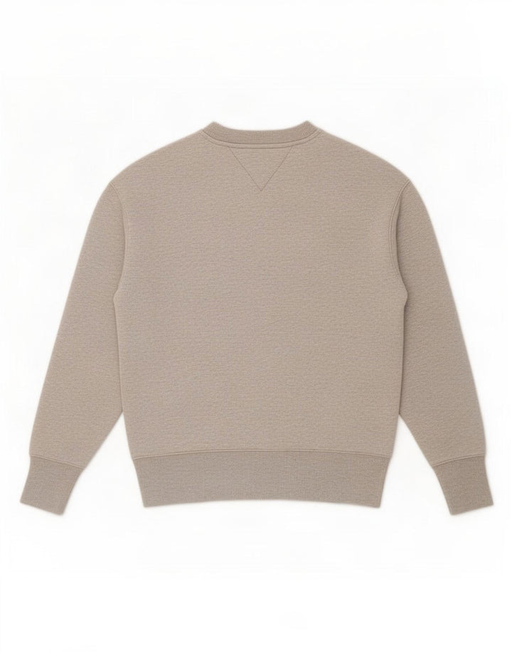 Ανδρικό φούτερ Tommy Hilfiger Jumper Μικρό Γκρι βαμβακερό