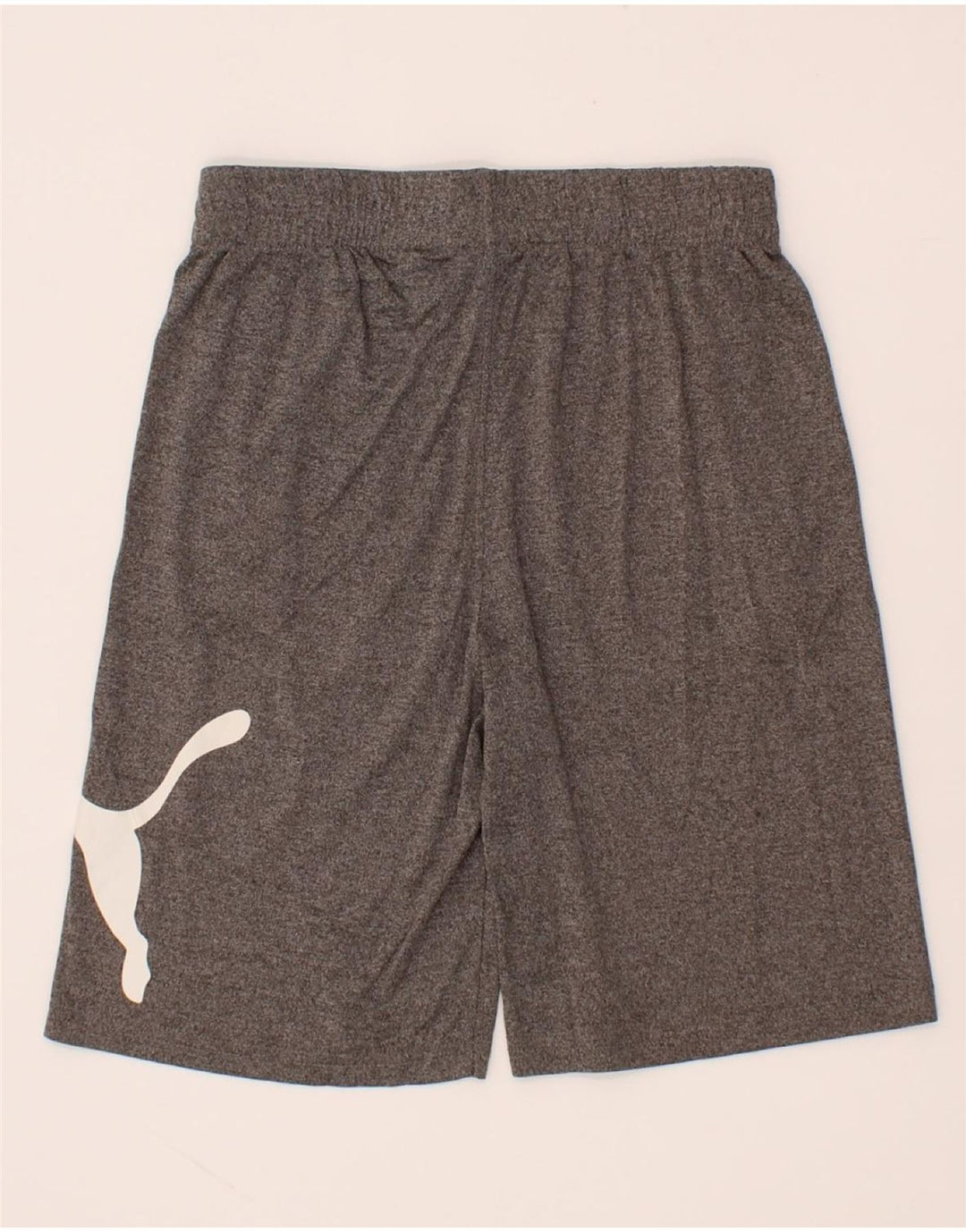 PUMA Boys Graphic Sport Shorts 14-15 Years Large Grey Polyester Vintage Puma and Second-Hand Puma from Messina Hembry 