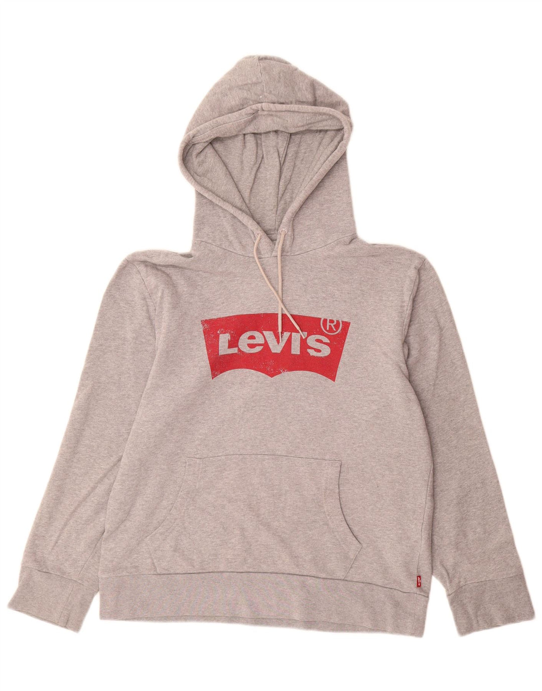 Ανδρικό γραφικό κουκούλα LEVI'S Μεσαίο γκρι βαμβακερό