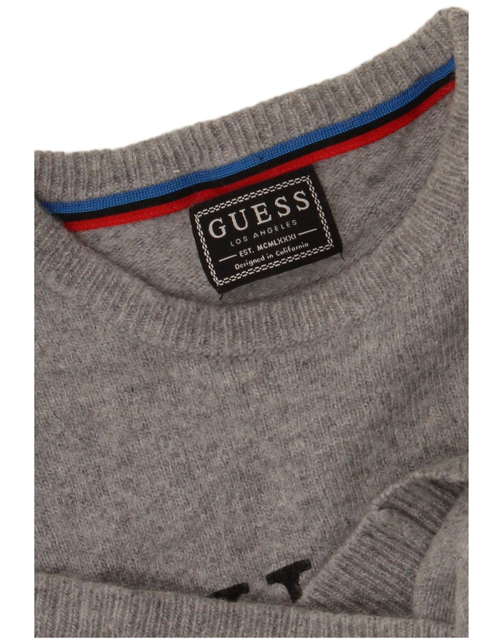 Ανδρικό πουλόβερ Guess Graphic Crew Neck Jumper Small Grey