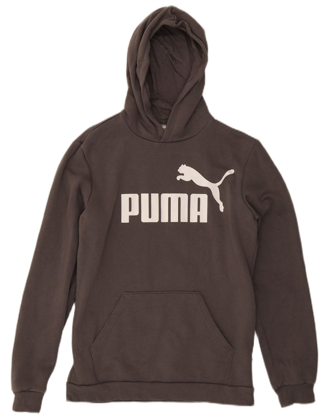 PUMA Boys Graphic Hoodie Jumper 15-16 Years Grey Cotton