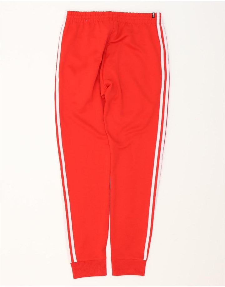 Ανδρική φόρμα Adidas Παντελόνι Joggers Μεσαίο κόκκινο πολυεστέρα