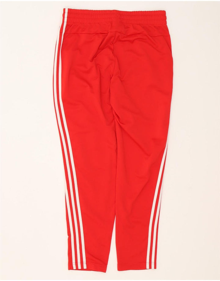 Adidas Γυναικεία φόρμα παντελόνια UK 12/14 Μεσαίο κόκκινο πολυεστέρα