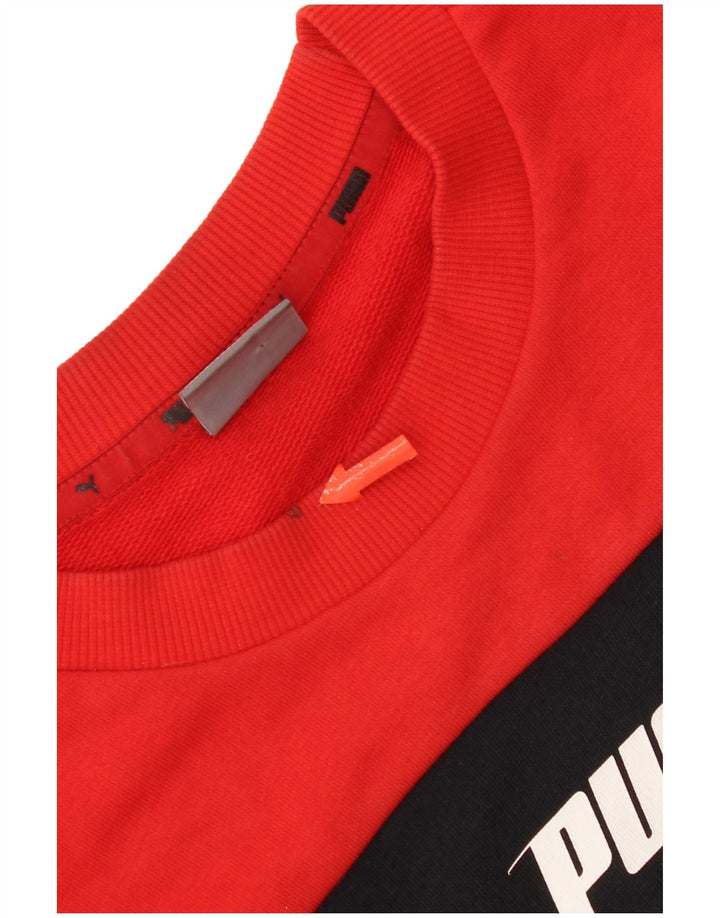 Ανδρικό γραφικό φούτερ Puma Jumper Small Red Colourblock Βαμβακερό