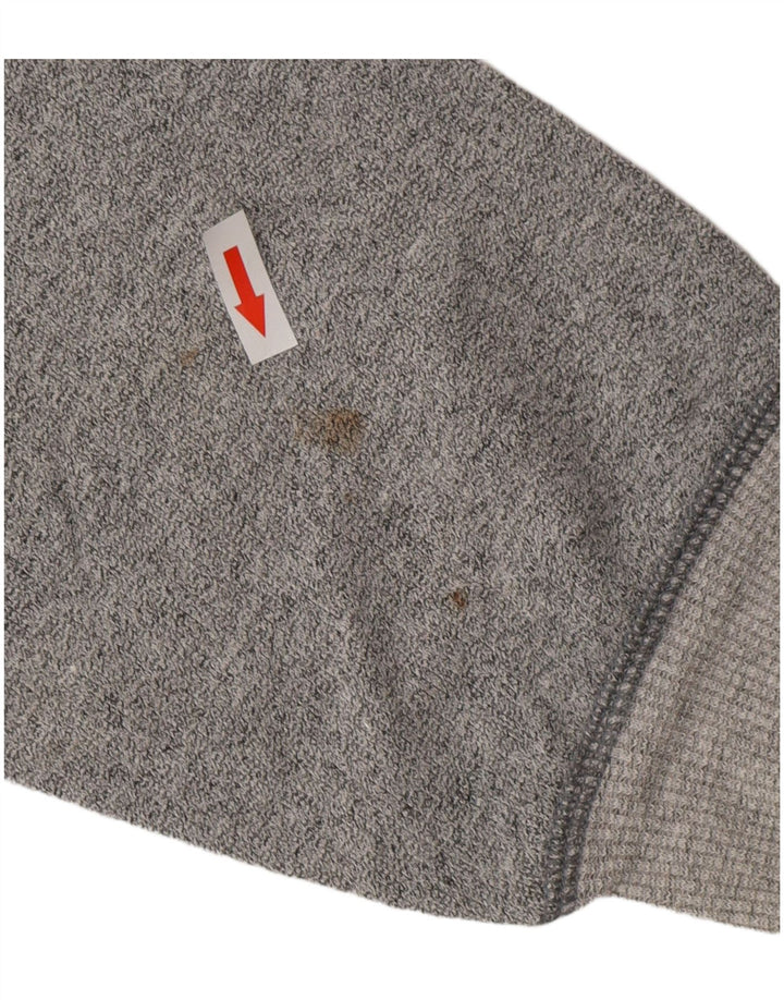 Ανδρικό γραφικό φούτερ CARRERA Jumper μεγάλο γκρι βαμβακερό