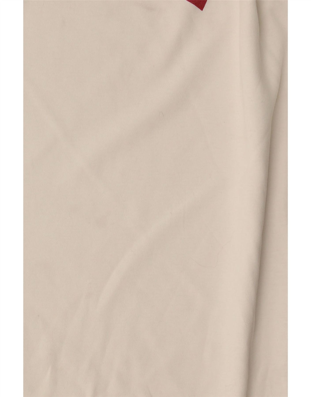 Ανδρικό γραφικό T-Shirt Levi's Top Μεσαίο λευκό βαμβακερό