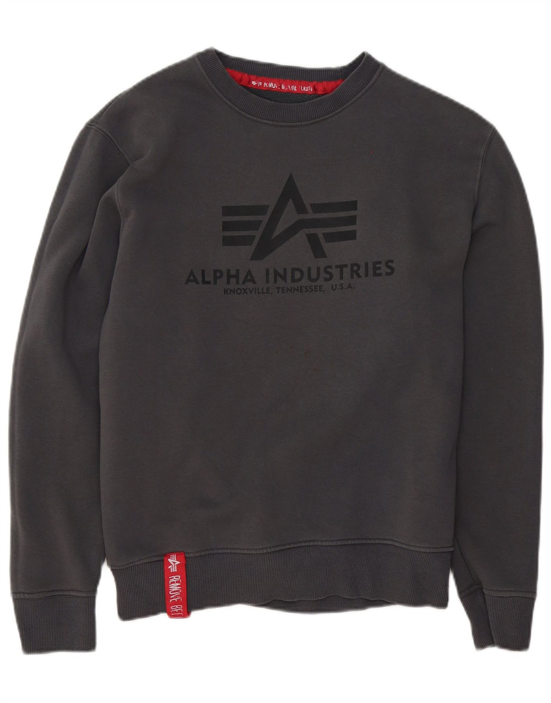 Ανδρικό γραφικό φούτερ Alpha Industries Jumper Μικρό γκρι βαμβακερό