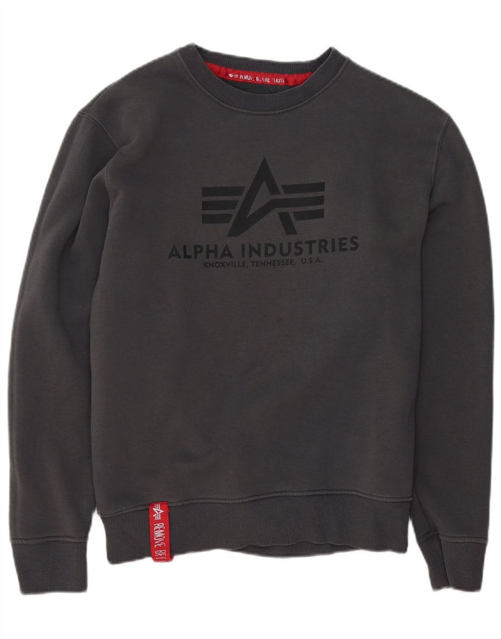 Ανδρικό γραφικό φούτερ Alpha Industries Jumper Μικρό γκρι βαμβακερό