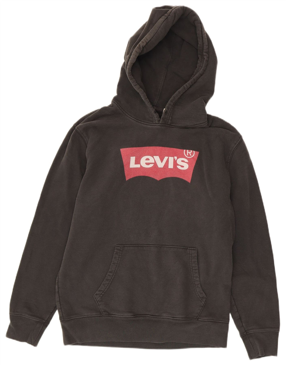 Ανδρικό Levi's Standard Graphic Hoodie Jumper Μεσαίο μαύρο βαμβακερό