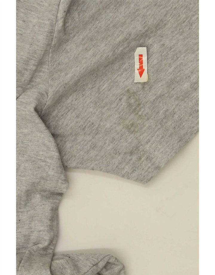 Ανδρικό γραφικό T-Shirt Puma Top Larg γκρι βαμβακερό