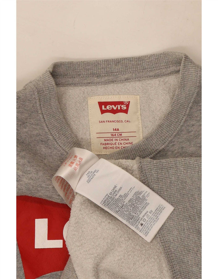 Levi's Boys γραφικό φούτερ 13-14 ετών, βαμβακερό γκρι